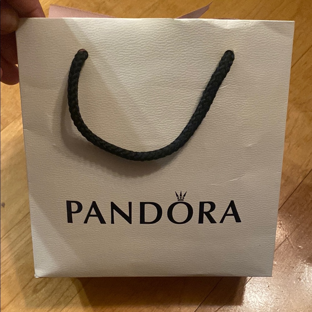 PANDORA GIFT BAG